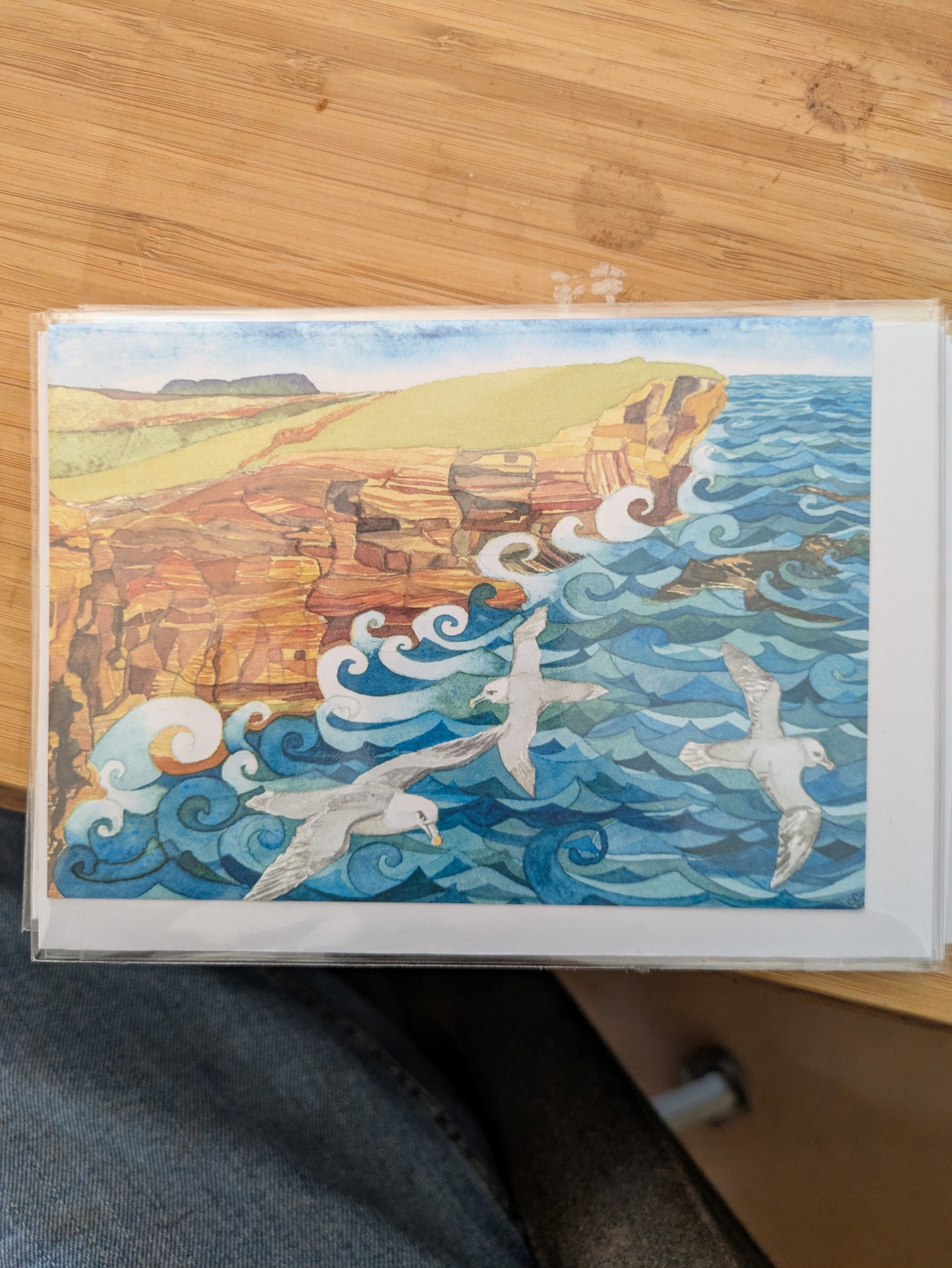 Fulmars