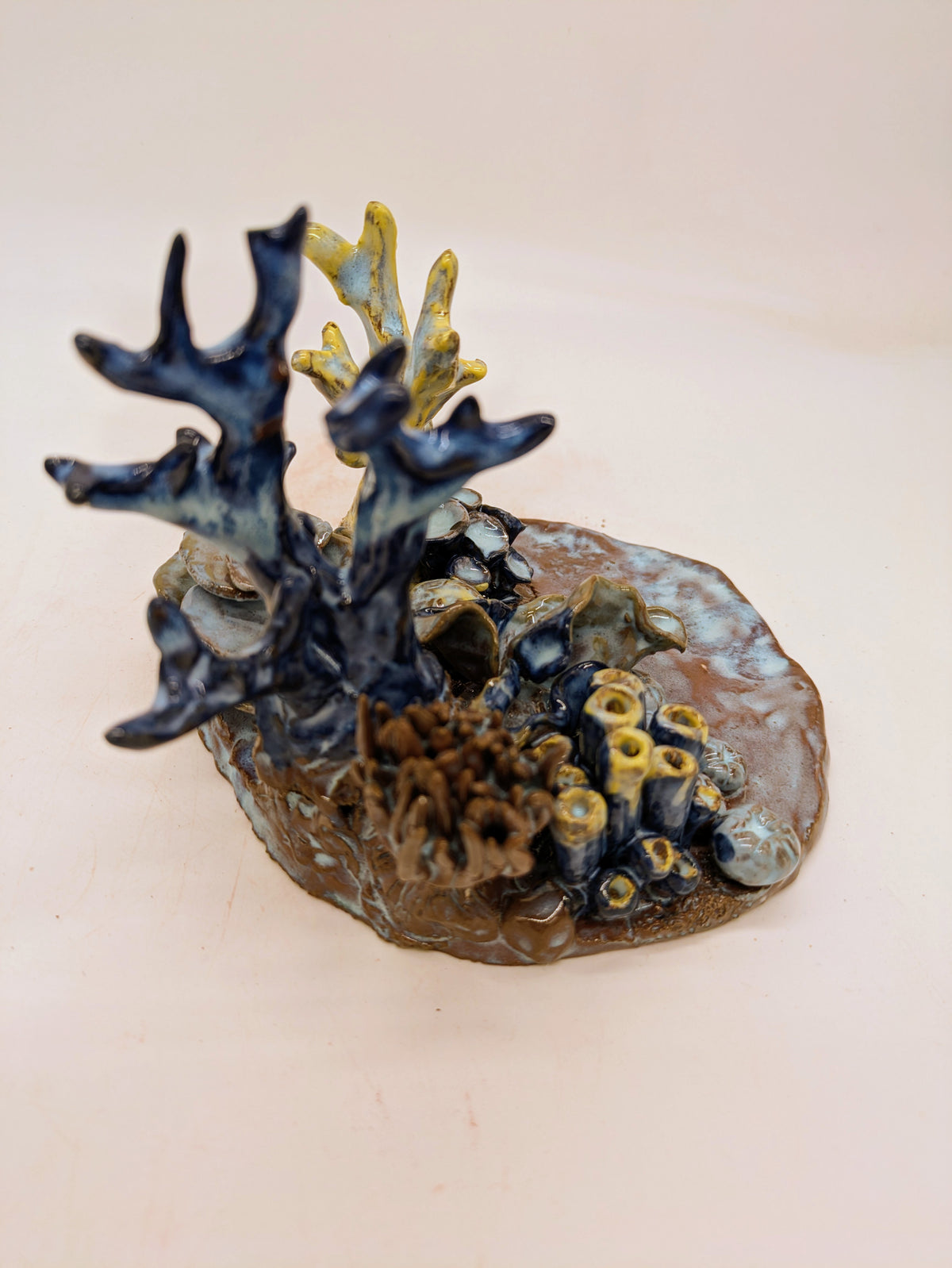 Reef