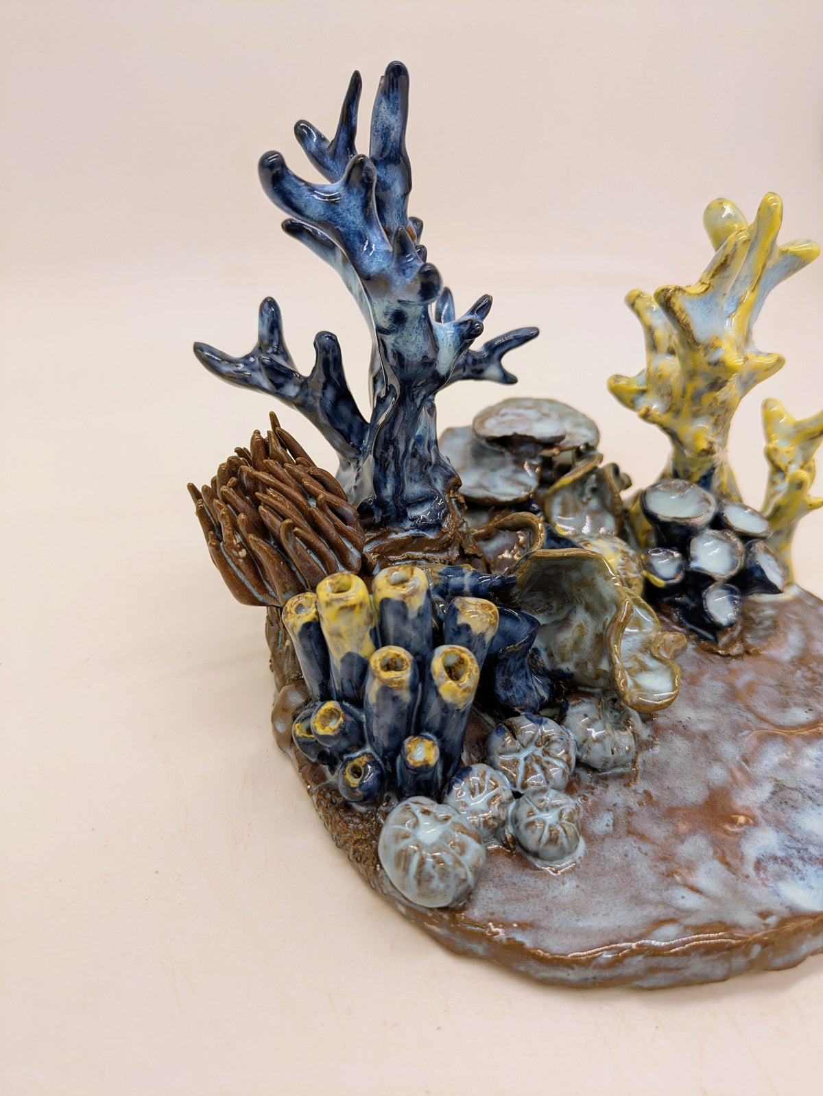 Reef