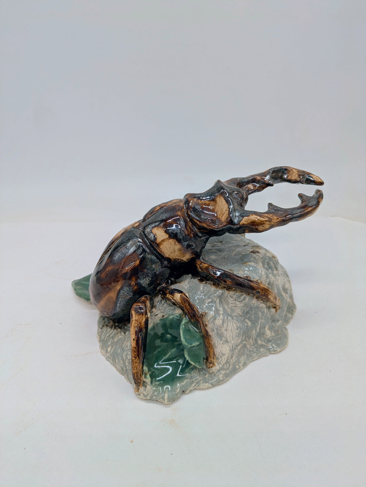 Dung Beetle