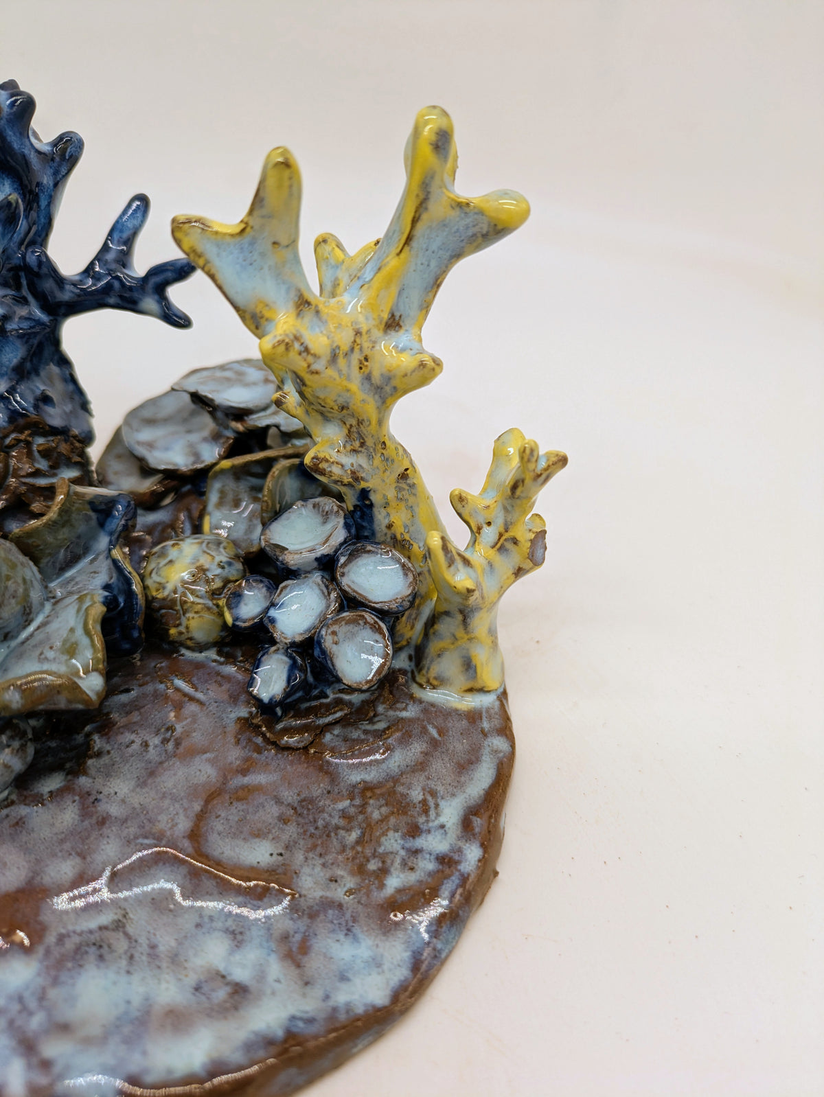 Reef