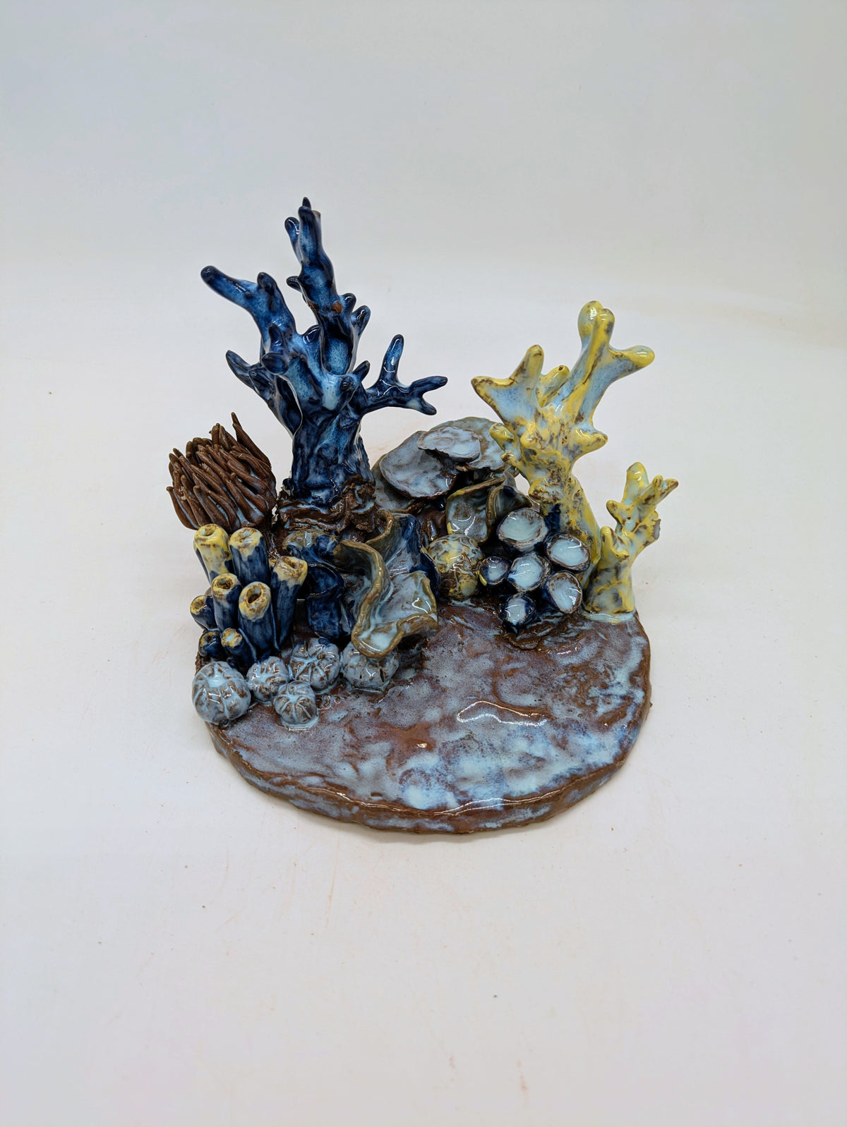 Reef