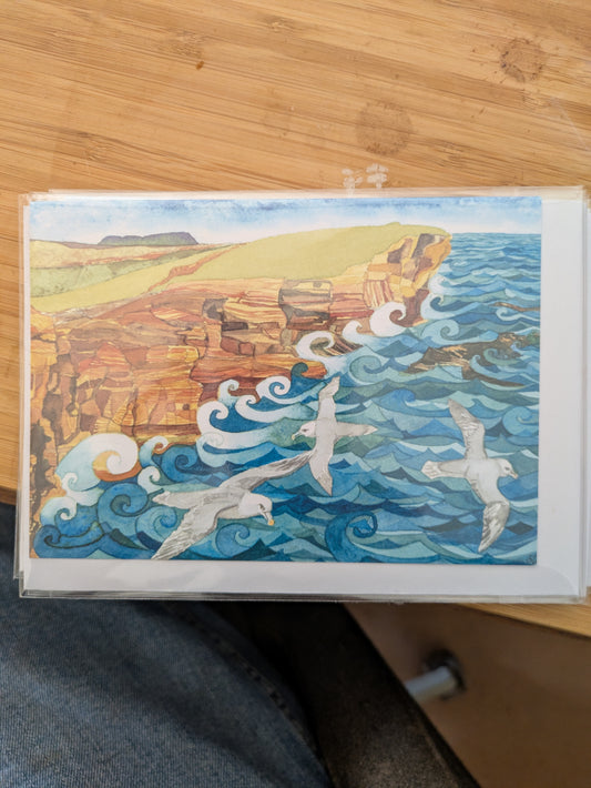 Fulmars