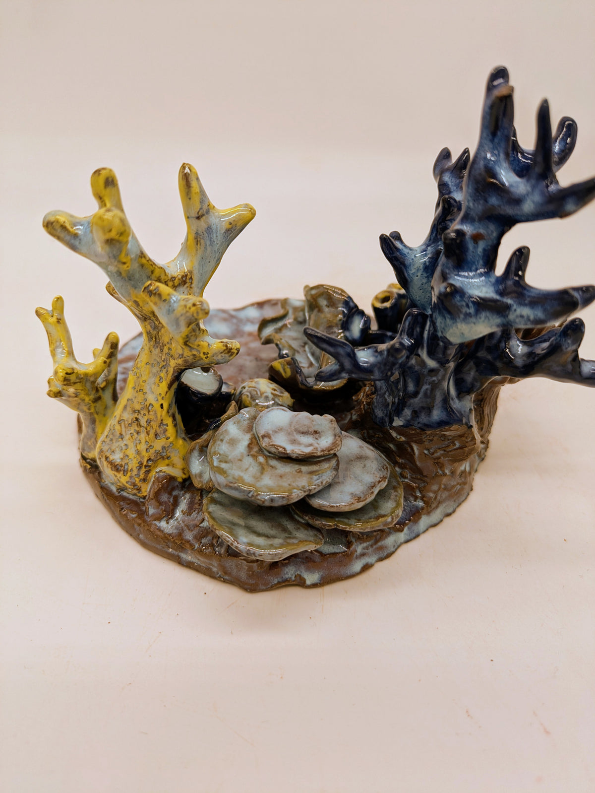 Reef